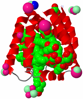 Image Asymmetric Unit