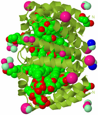 Image Biological Unit 1