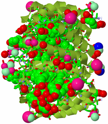 Image Biol. Unit 1 - sites