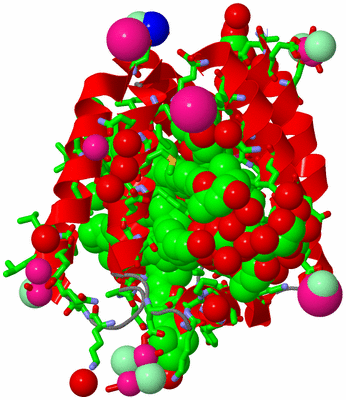 Image Asym. Unit - sites