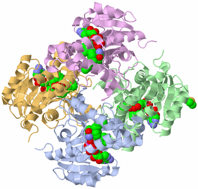 Image Asym./Biol. Unit