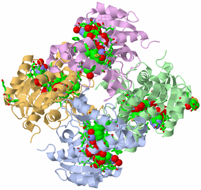 Image Asym./Biol. Unit - sites