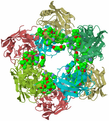 Image Biological Unit 1