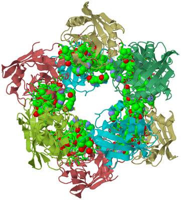 Image Biol. Unit 1 - sites