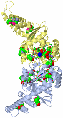 Image Asym./Biol. Unit - sites