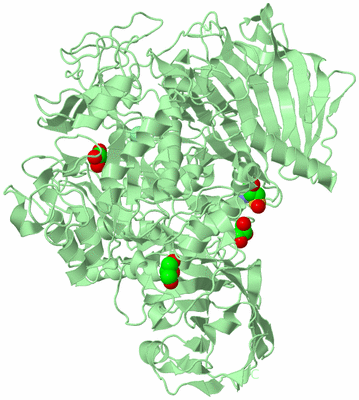 Image Biological Unit 2