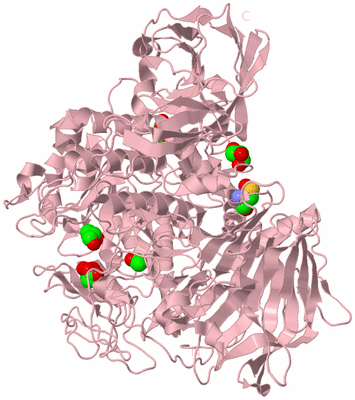 Image Biological Unit 3