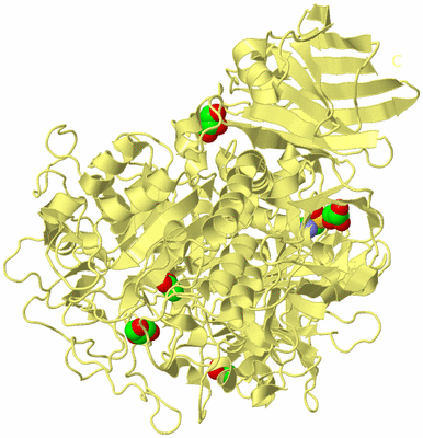 Image Biological Unit 4