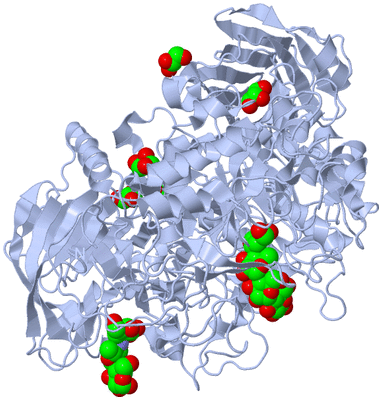 Image Biological Unit 1