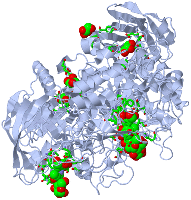 Image Biol. Unit 1 - sites