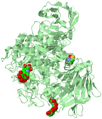 Image Biological Unit 2