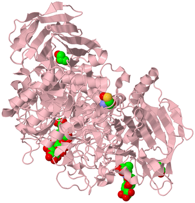 Image Biological Unit 3