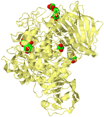 Image Biological Unit 4