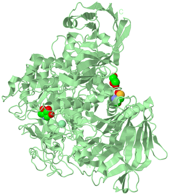 Image Biological Unit 2