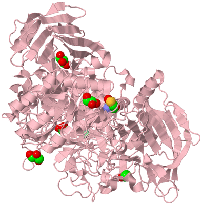 Image Biological Unit 3