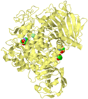 Image Biological Unit 4