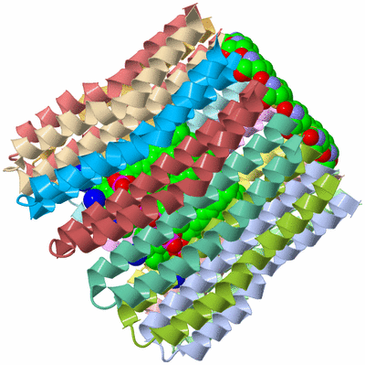 Image Asym./Biol. Unit