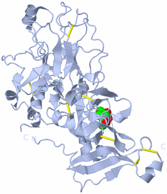 Image Biological Unit 1