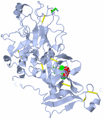 Image Biol. Unit 1 - sites