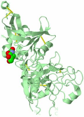 Image Biological Unit 2