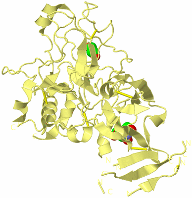 Image Biological Unit 3