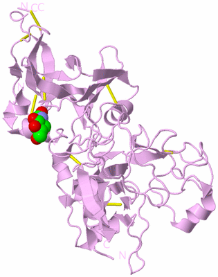 Image Biological Unit 4