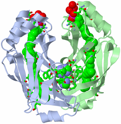 Image Asym. Unit - sites