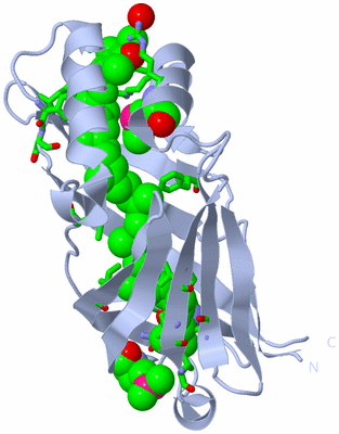 Image Biol. Unit 1 - sites