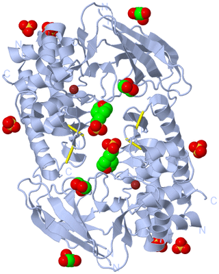 Image Biological Unit 1