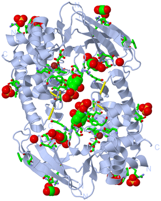 Image Biol. Unit 1 - sites