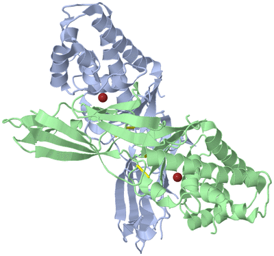 Image Asym./Biol. Unit