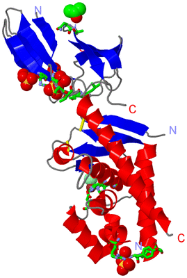 Image Asym. Unit - sites