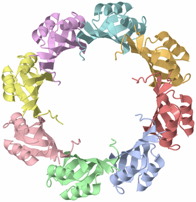Image Asymmetric Unit