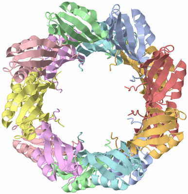 Image Biological Unit 1