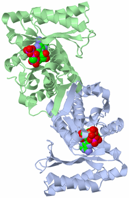 Image Asym./Biol. Unit