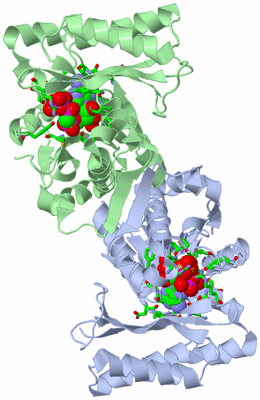 Image Asym./Biol. Unit - sites