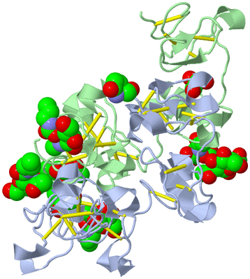 Image Biological Unit 2