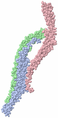 Image Asymmetric Unit