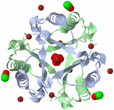 Image Biological Unit 1