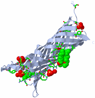 Image Biol. Unit 1 - sites