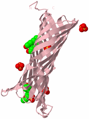 Image Biological Unit 3