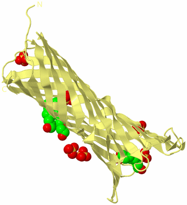 Image Biological Unit 4