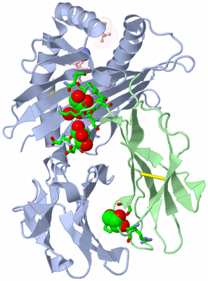 Image Biol. Unit 1 - sites