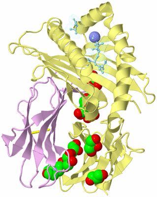 Image Biological Unit 2