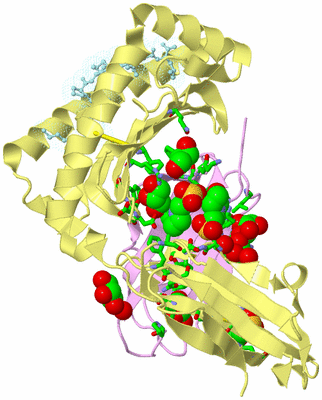 Image Biol. Unit 1 - sites