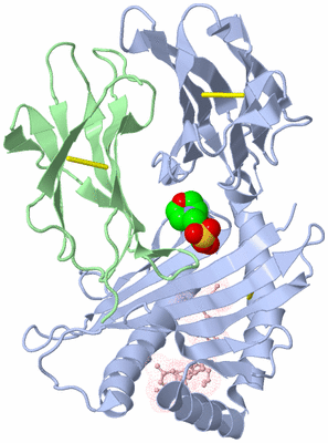 Image Biological Unit 2