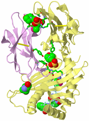 Image Biol. Unit 1 - sites