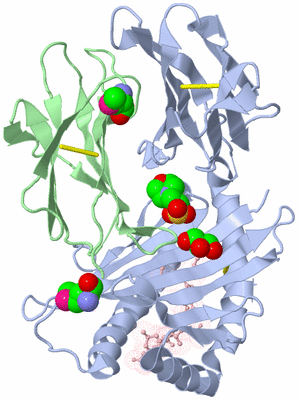 Image Biological Unit 1