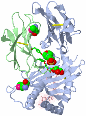 Image Biol. Unit 1 - sites