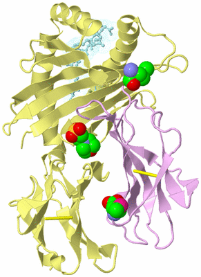 Image Biological Unit 2